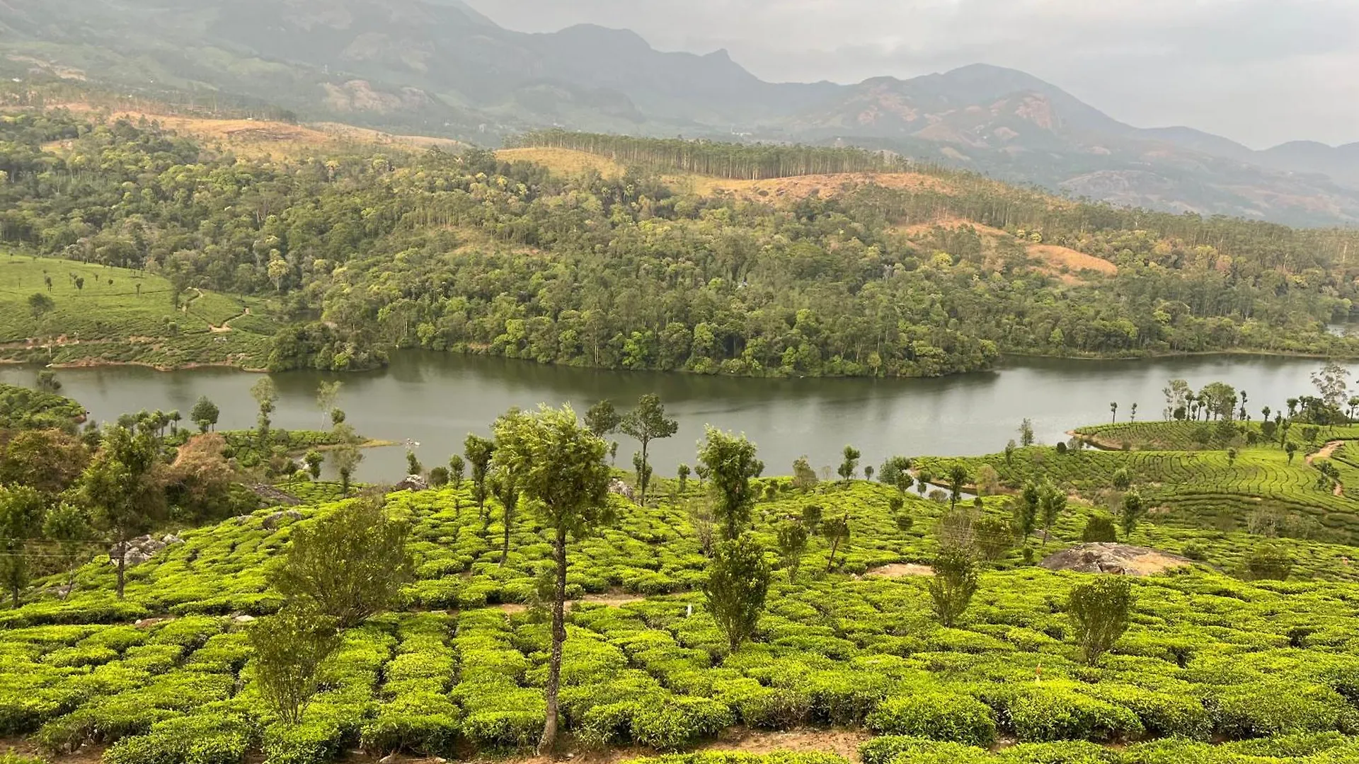 Rima Leisure Resort Suryanelli Munnar Casa vacanze