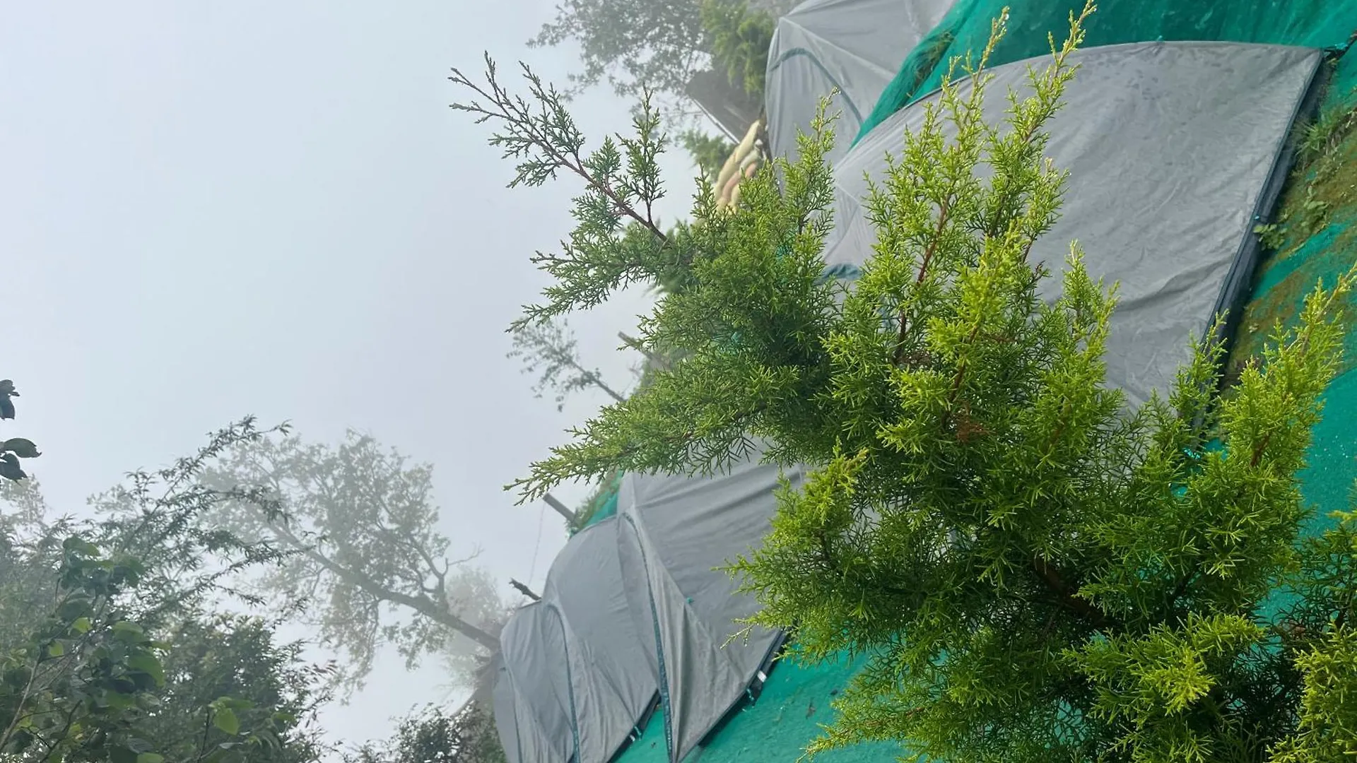 Rima Leisure Resort Suryanelli Munnar India